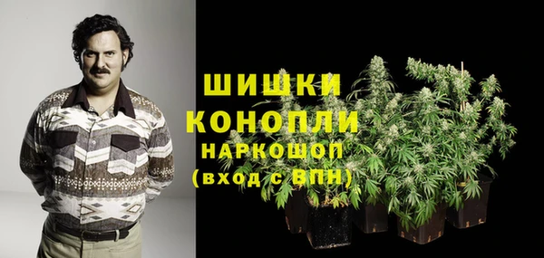 spice Абинск